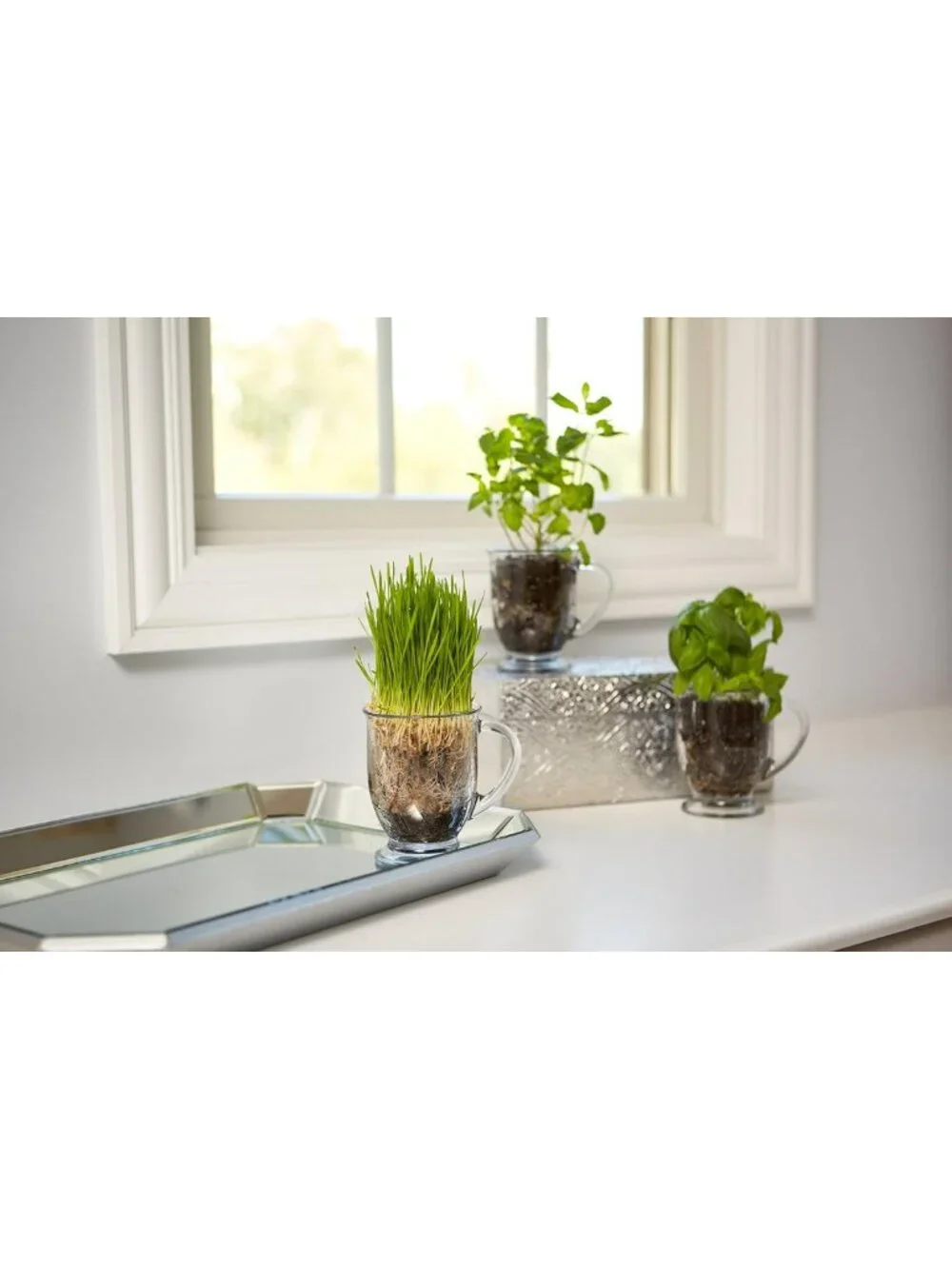 Set of 6 16oz Clear Glass Coffee Mugs - Durable, Stylish Drinkware for Home